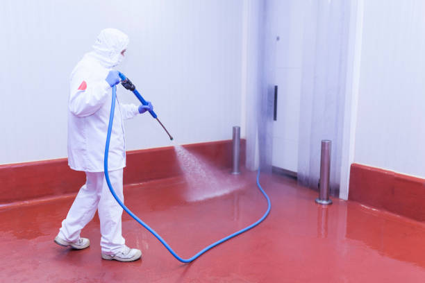 Best Driveway Pressure Washing  in Warner Robins, GA